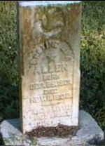 allenerexenel.jpg (34819 bytes)