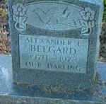 belgardalexanderl.jpg (37309 bytes)