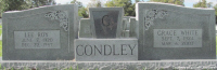 condleylandg.jpg (88867 bytes)