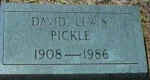 pickledavidl.jpg (29397 bytes)