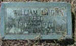 reedwilliamh.jpg (40924 bytes)