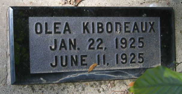 Olea Kibodeaux